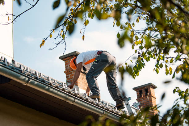 Best Storm Damage Roof Repair  in Sistersville, WV